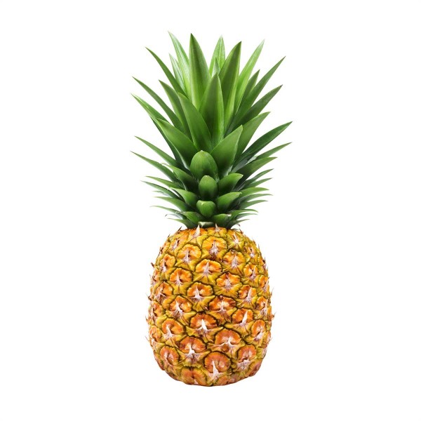 Ανανάς Εισαγωγής